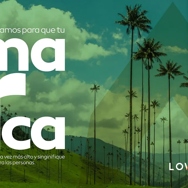 Brands Am LOWA